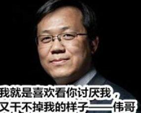 二狗爆料谢航视频大全集,谢航视频大全集深度解析  第2张